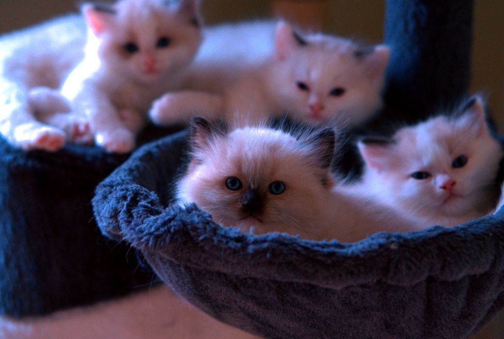 DSC05767_fromRAW_rawpy.jpg