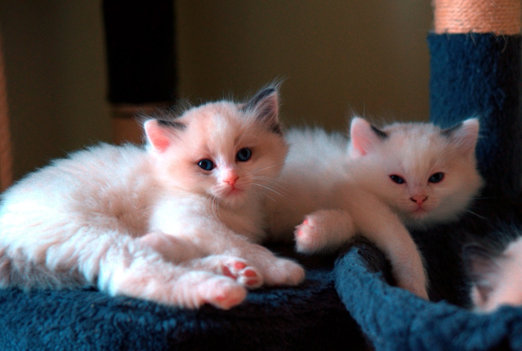 DSC05768_fromRAW_rawpy.jpg