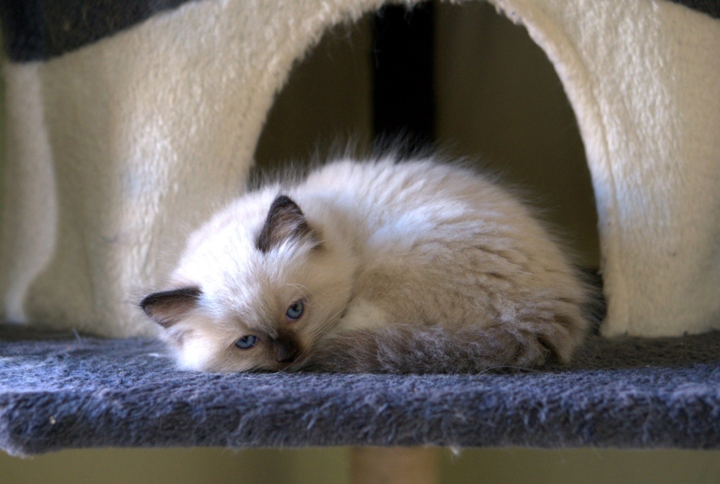 DSC05779_fromRAW_rawpy.jpg